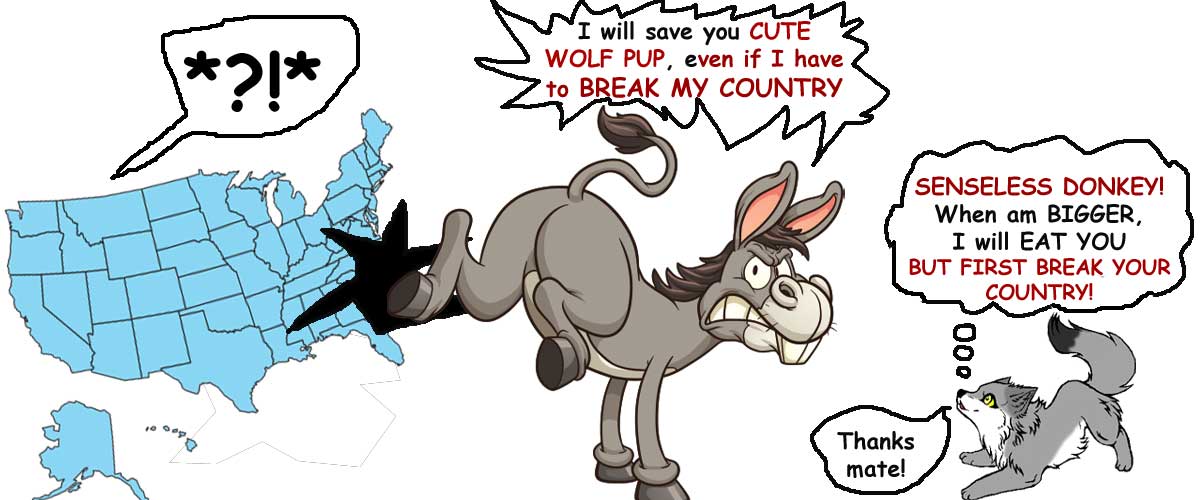 Senseless Donkey